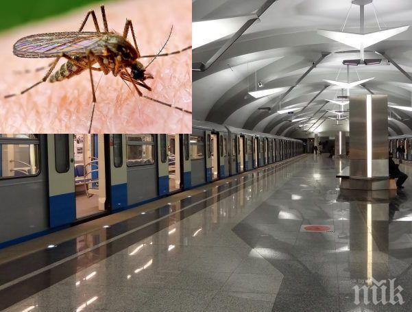 СТОЛИЧАНИ ПРОПИЩЯХА: Зловещи комари с огромни размери нападат в софийското метро! 