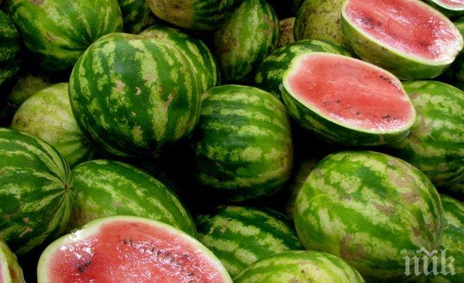 Цената на дините - рязко надолу на борсата в Любимец