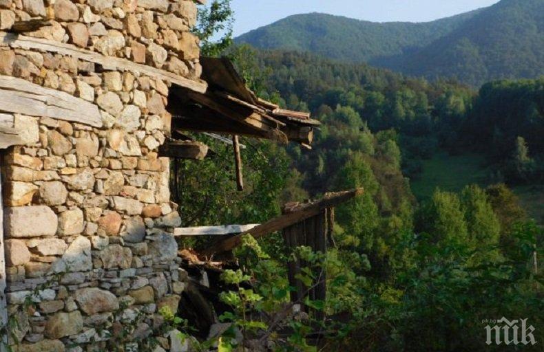 50 000 германци заживяха в България