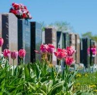В Германия разиграват 200 места в гробище на лотария