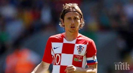 уникално вижте кадри годишния модрич пастир кози видео