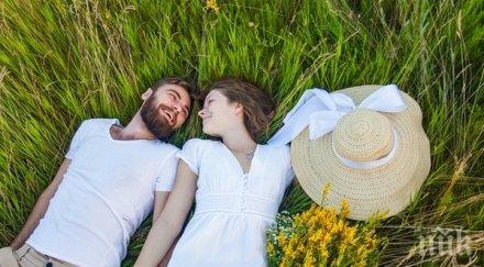 караници присъстват всяка връзка