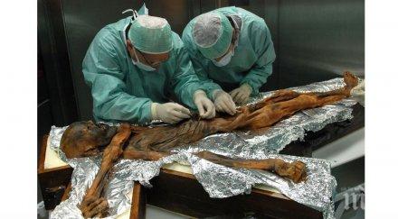 сензация учени разкриха било последното ядене ледения човек йоци 5300 години