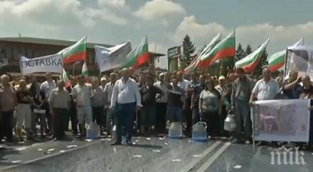 напечено животновъди разляха мляко блокираха пътя софия варна