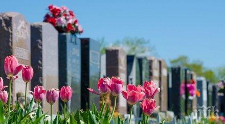 германия разиграват 200 места гробище лотария