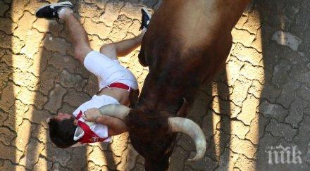 седем пострадали гонитба бикове северна испания