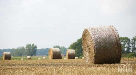 последните минути 500 килограмов топ слама изсипа магистралата карнобат