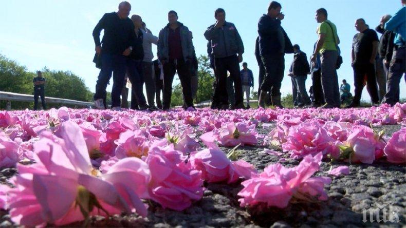 Розопроизводителите заплашени от фалит