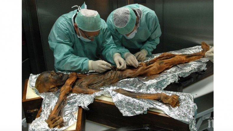 СЕНЗАЦИЯ! Учени разкриха какво е било последното ядене на ледения човек Йоци преди 5300 години