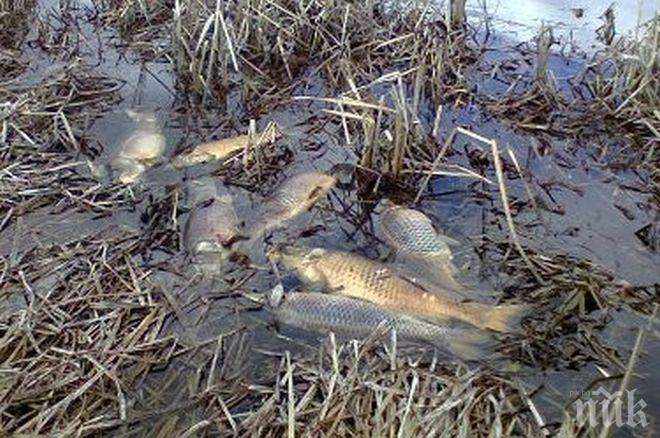 Спешно укрепват бреговете на река Банска