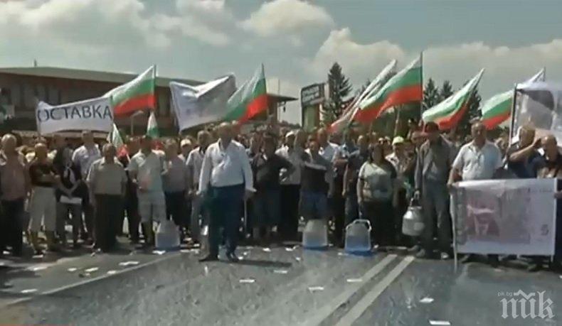 НАПЕЧЕНО! Животновъди разляха мляко и блокираха пътя София-Варна