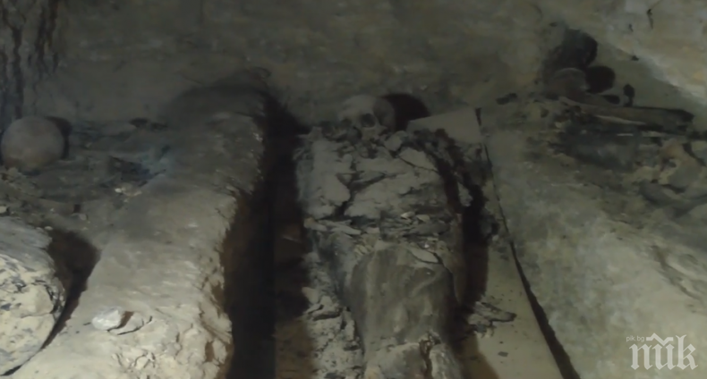 Ново откритие на археолозите ще разкрие тайни за мумифицирането 