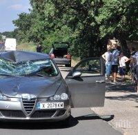 НЕВНИМАНИЕ! Блъснаха шофьор, спрял да пазарува дини край пътя