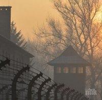 Унгарски туристи опитаха да откраднат тухли от Освиенцим