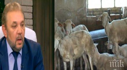 некомпетентност зам министър земеделието избиването животните съм специалист