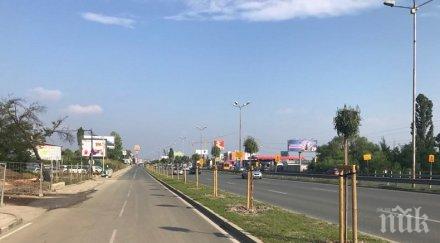 задънена улица открият вандалите отсекли дръвчета хиляди левове околовръстното софия