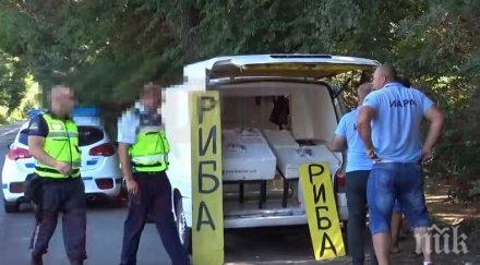 спипаха наско циганина нелегална риба продал развалени попчета майка натровил детето видео