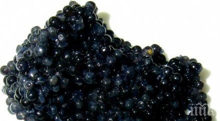 хайверът топ деликатес