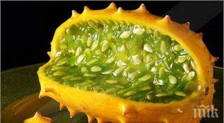 екзотично африканската рогата краставица все търсена европа