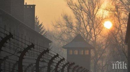 унгарски туристи опитаха откраднат тухли освиенцим