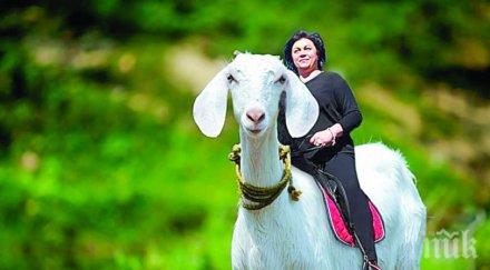 екшън пик ретро кървав пленум евтаназира нинова