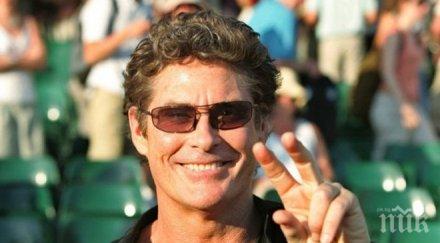 дейвид хаселхоф трета сватба меден месец малдивите