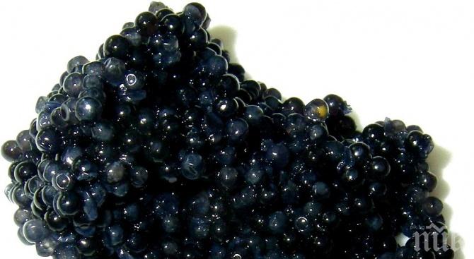 Защо хайверът е топ деликатес?