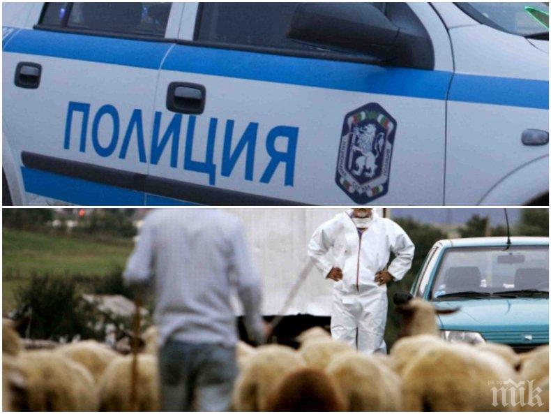 ИЗВЪНРЕДНО В ПИК! Става страшно! Полиция заварди Шипка и Прохода на републиката заради чумата