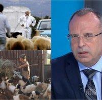 ГОРЕЩО! Министър Порожанов с последни подробности за чумата: Предложихме ново стадо на баба Дора, тя отказа
