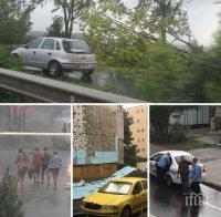 НЕВИЖДАНА БУРЯ В БУРГАС! Ураганният вятър събори дърво, затисна кола с хора (СНИМКИ)