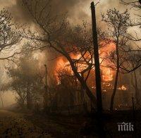 Гърция иска от САЩ дронове да гаси пожарите