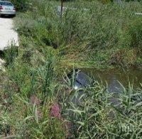 НА МОРЕ! Кола падна в тресавище до плаж 