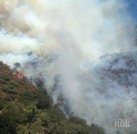 МВнР: Няма засегнати българи при горския пожар до Атина