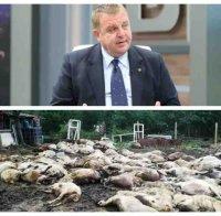 Каракачанов за напрежението в Странджа: Опозицията е в истерия! Вицето цитира Ленин...