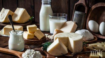 важно чумата смъртоносна животните хората