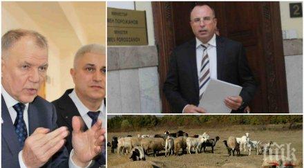 извънредно европа истината чумата комисарят здравеопазването разкри епидемия налага евтаназия