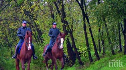 поръчка сдвр търси тона слама конете