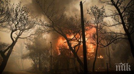 гърция иска помощ справяне горските пожари