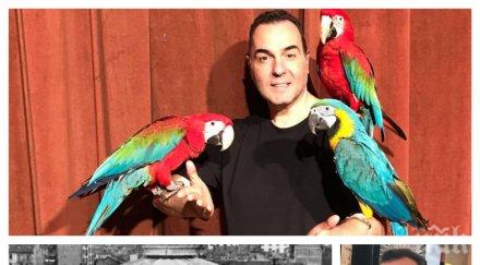 първо пик драго чая рови тайните пожара цирка солни пазар журналистът снима филм инцидента години снимки