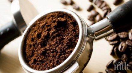 категоричната полза кафето напитката удължава живота