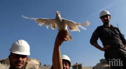 германия приема души белите каски