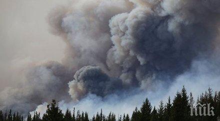 шест държави помагат швеция горските пожари