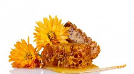 природно чудо спасите дископатията