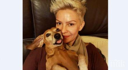 отровиха дакела халваджиян