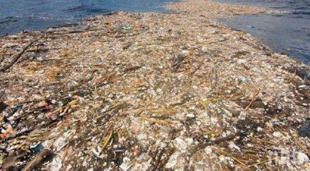 тонове боклуци съсипаха райските плажове столицата доминиканската република