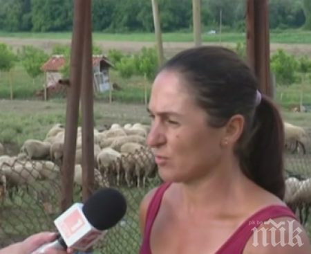 Животновъдка: Изгубих всякакво доверие в институциите