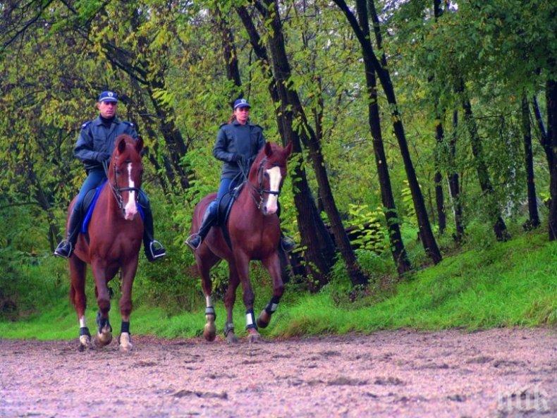 ПОРЪЧКА! СДВР търси 70 тона слама за конете си