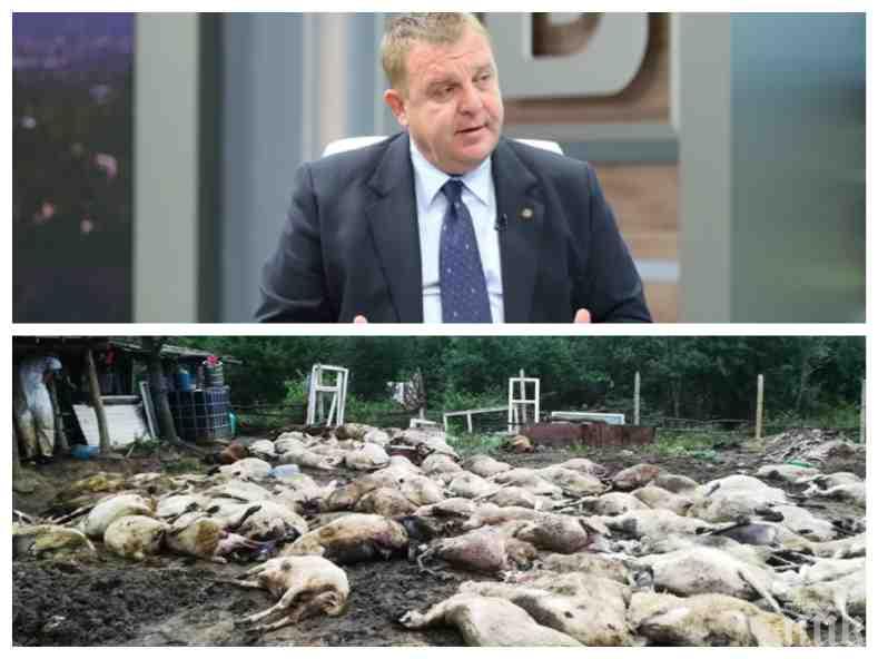 Каракачанов за напрежението в Странджа: Опозицията е в истерия! Вицето цитира Ленин...