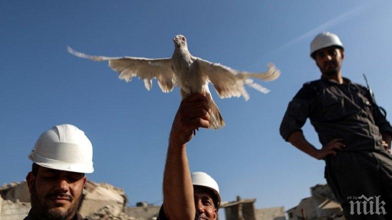 Германия приема 50 души от Белите каски