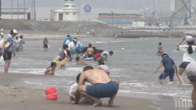 Отвориха плажовета около АЕЦ Фукушима